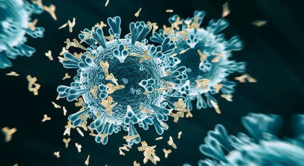 coronavirus immunità soggetti infezione